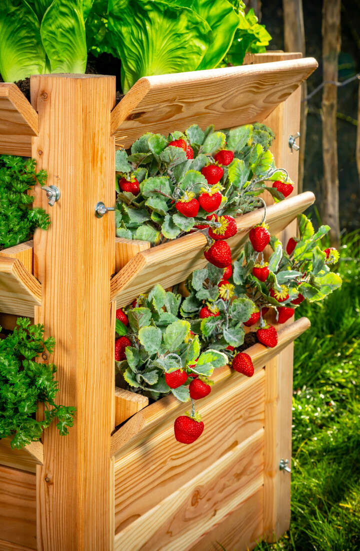 WESTMANN Hochbeet Premium